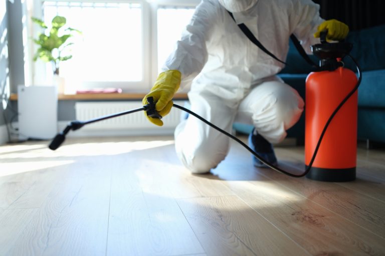 Safe and Eco-Friendly Pest Control Options Available